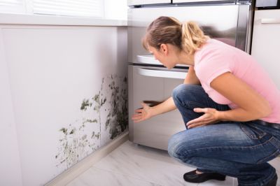 Prevent Mold Growth