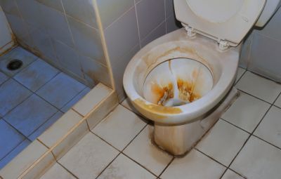 Prevent Mold and Bacteria Growth